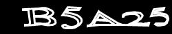 CAPTCHA code image